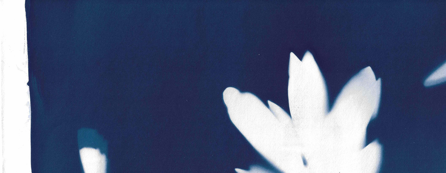 Cyanotype