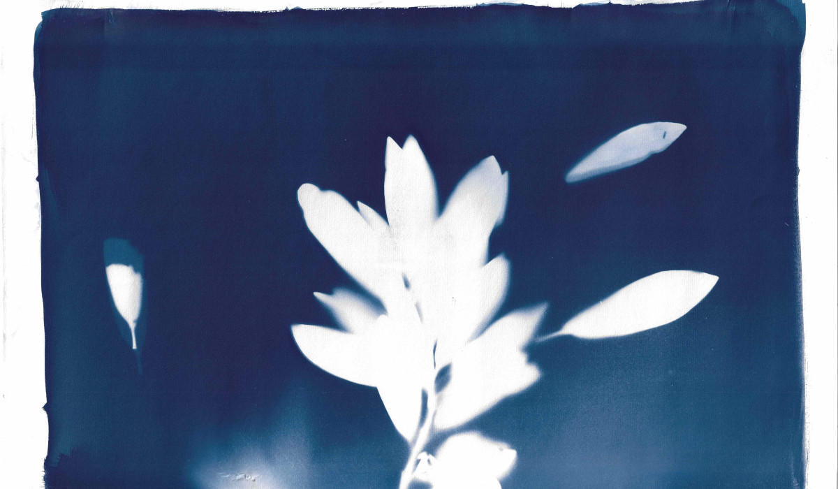 Cyanotype